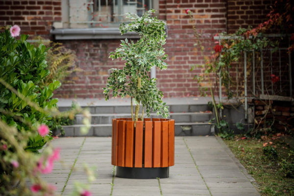 Donica miejska 1 Donica Malta