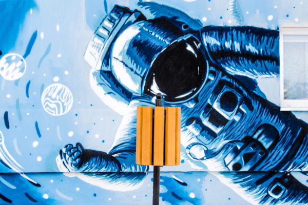 Rekord 19 of 49 scaled kosz parkowy Genewa