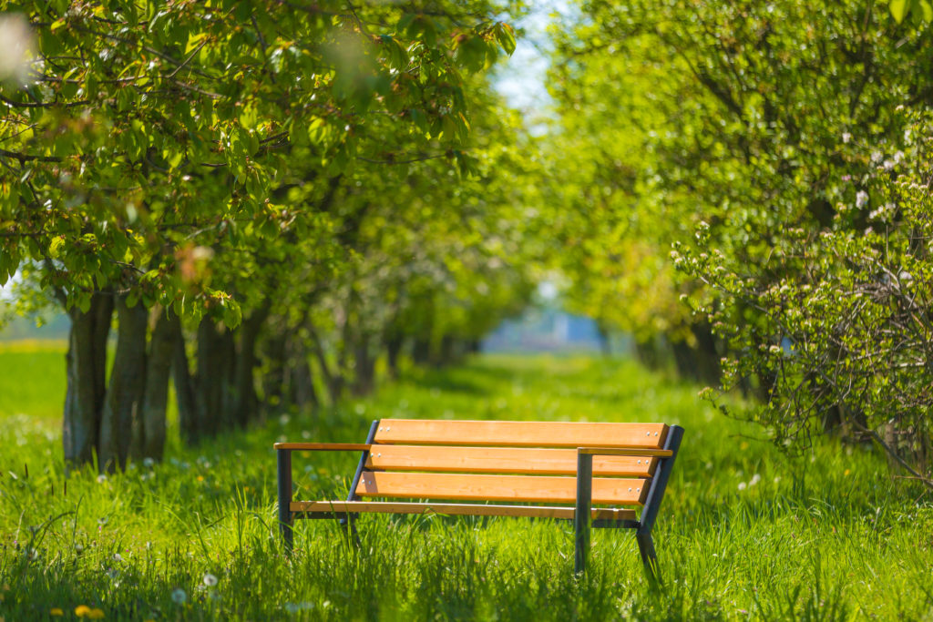 Gladiator Bis z podłokietnikiem drewnianym Gladiator Bis z podłokietnikiem drewnianym