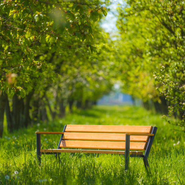 Ławka parkowa Gladiator Bis z podłokietnikiem drewnianym Ławka parkowa Gladiator Bis z podłokietnikiem drewnianym