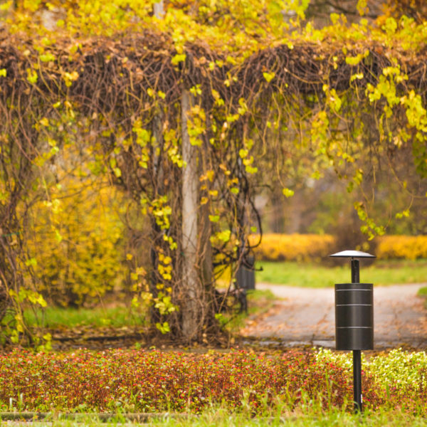 Rekord 59 of 74 scaled