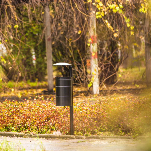 Rekord 60 of 74 scaled