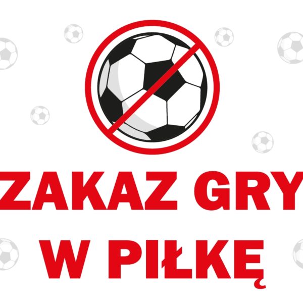 Duża tabliczka informacyjna 30cm Zakaz gry w piłkę