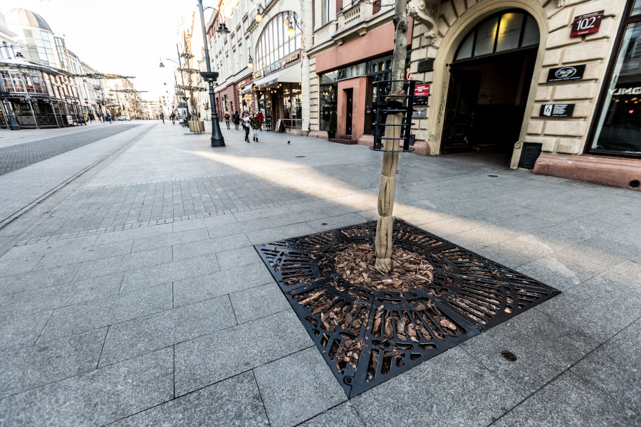 4 powody, by krata pod drzewo była hitem sezonu wśród liściastych na obrazku