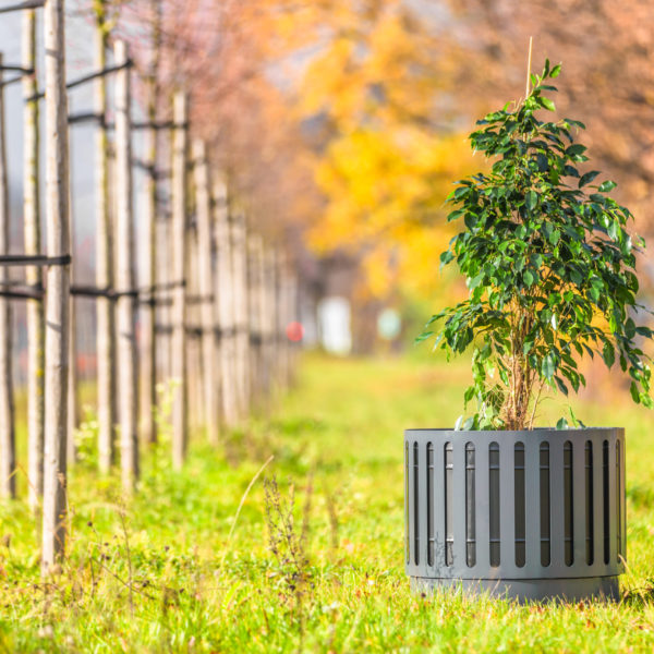 Donica miejska Oslo 80l Rekord 47 of 73 scaled