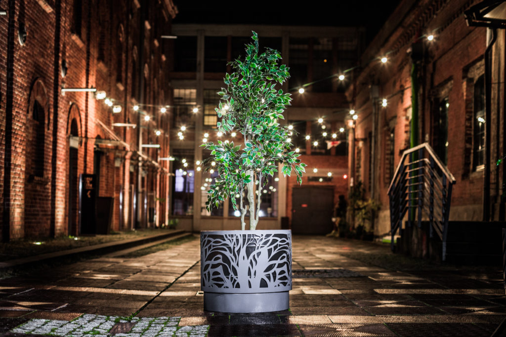 Neapol Donica miejska Neapol