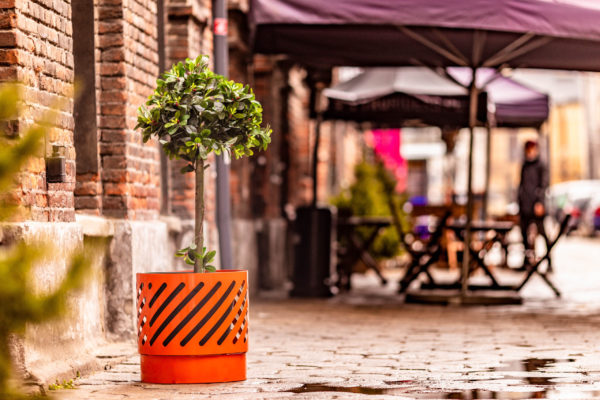 donica miejska Split donica miejska Split