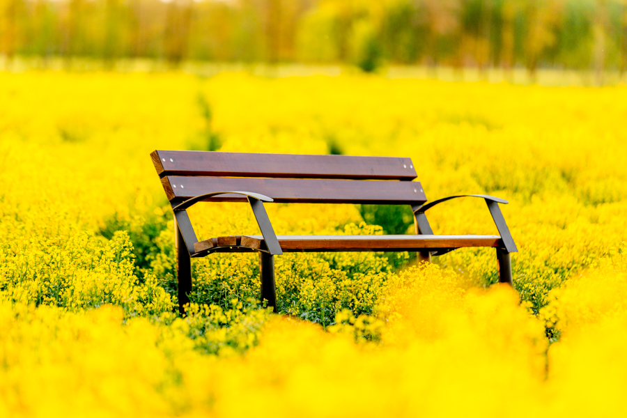 Centurion (8) Centurion (8)