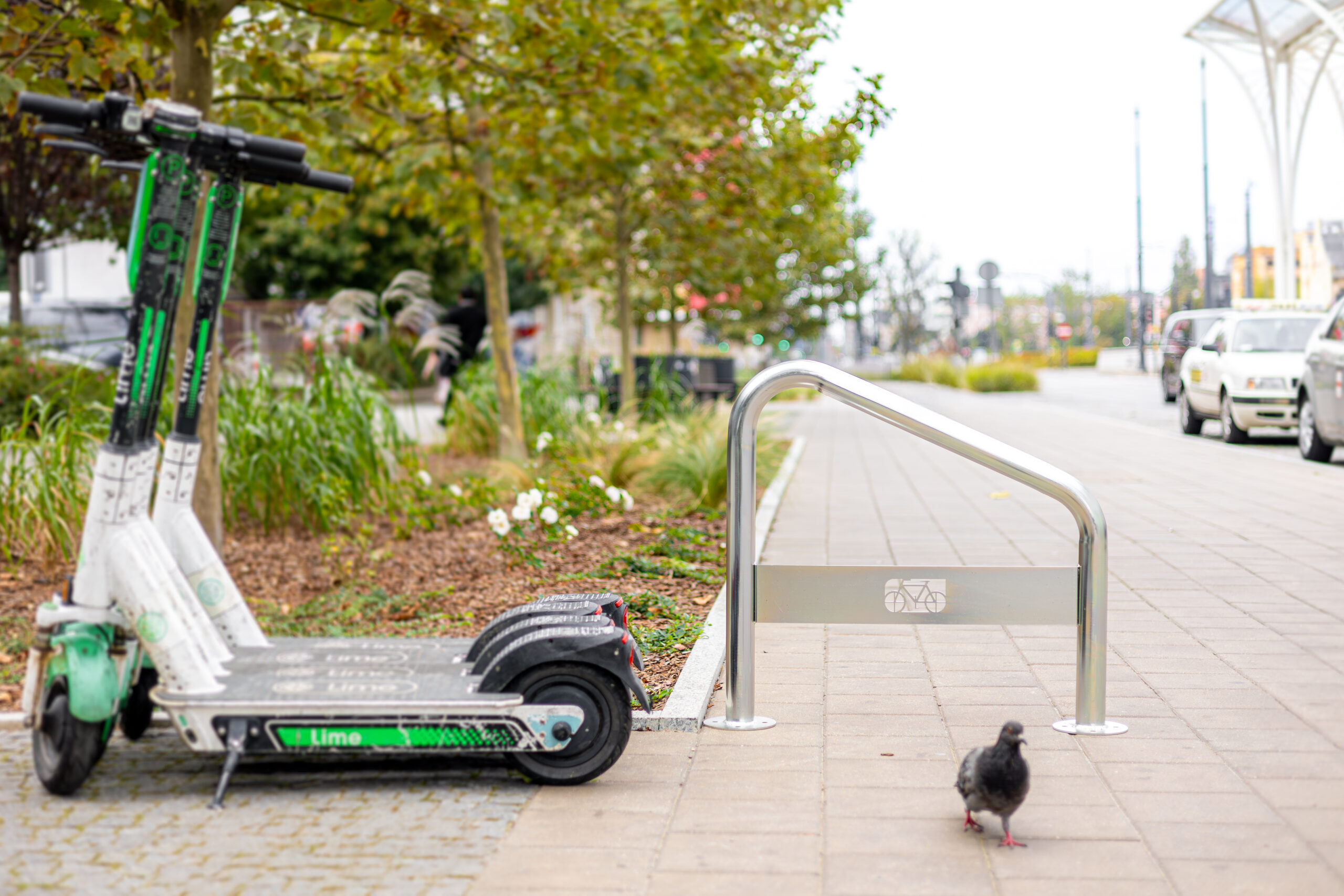 5 sposobów, jak parking rowerowy ratuje miasto przed chaosem na obrazku