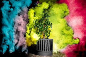 Donica Neapol - mała architektura Donica Neapol - mała architektura